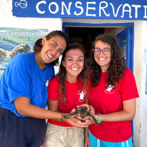 Pronto soccorso tartarughe marine Filicudi Wildlife Conservation