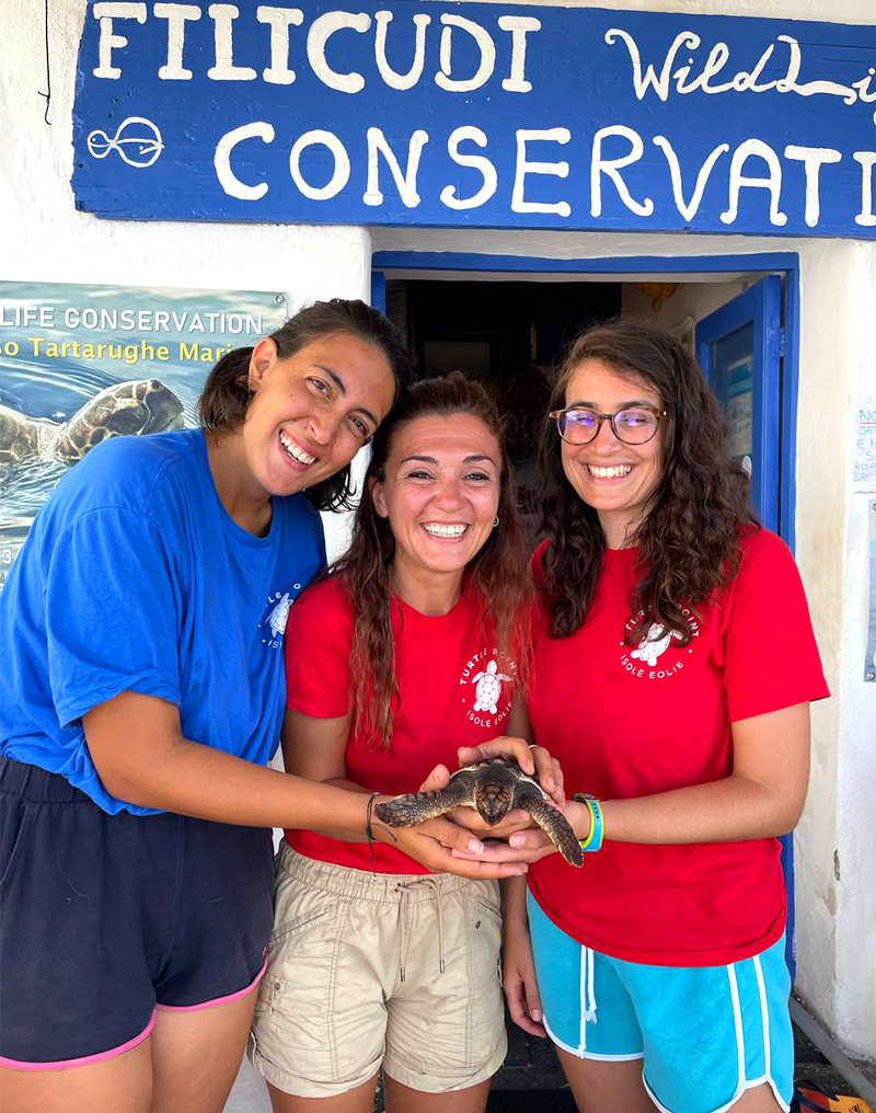 Pronto soccorso tartarughe marine Filicudi Wildlife Conservation